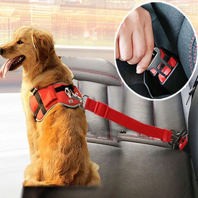 Dog Car Safety Belt - Keep Your Dog Safe During Car Rides