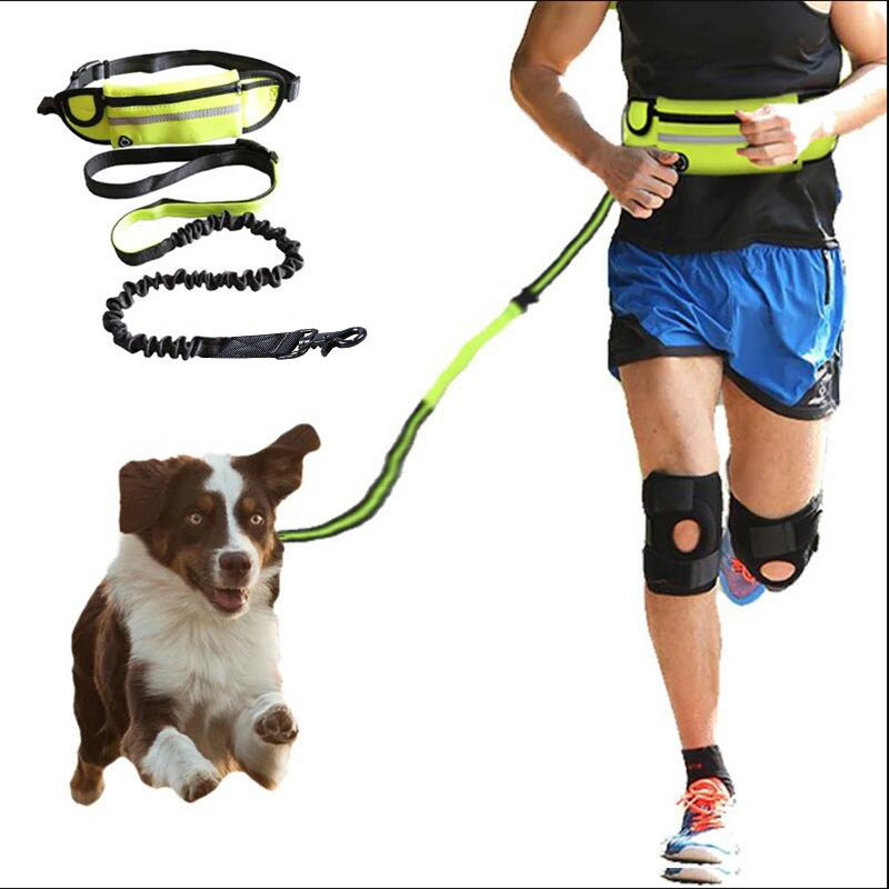 RunBuddy - Fantastic Hands Free Dog Leash