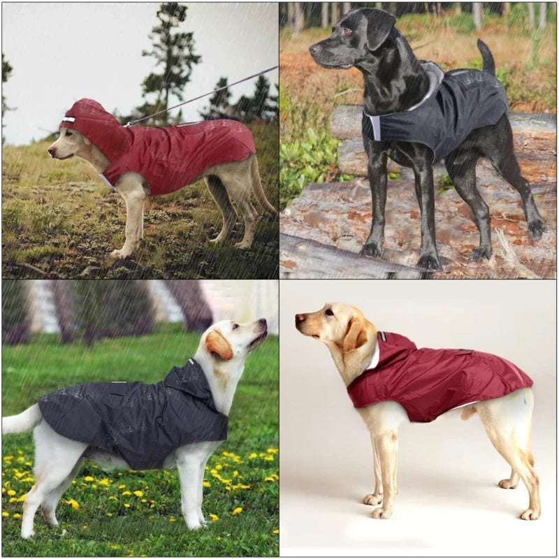 RainPaw - Waterproof Dog Jacket