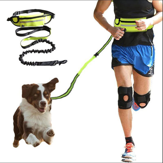 RunBuddy - Fantastic Hands Free Dog Leash